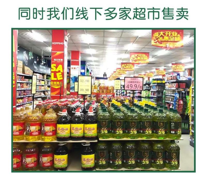 10%橄榄油家用橄榄调和油批发初榨橄榄油食用油