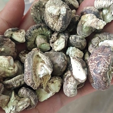泌阳花菇甲天下，味香细嫩、各种规格都有，一件走起