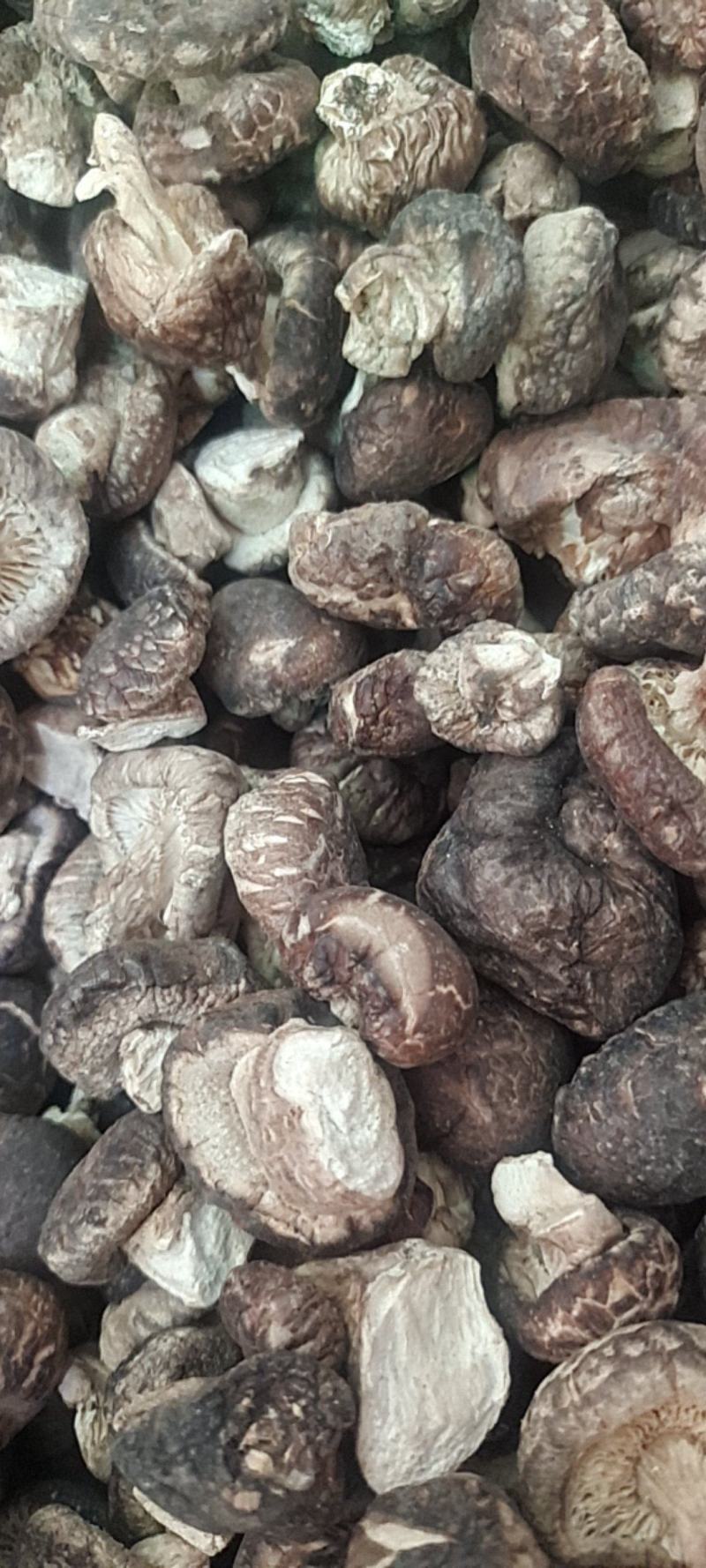 泌阳花菇甲天下，味香细嫩、各种规格都有，一件走起