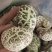 泌阳花菇甲天下，味香细嫩、各种规格都有，一件走起
