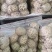 泌阳花菇甲天下，味香细嫩、各种规格都有，一件走起