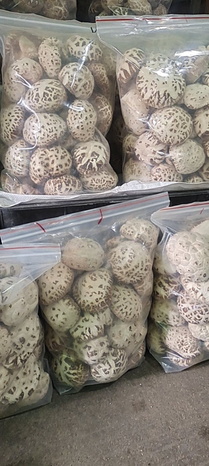 泌阳花菇甲天下，味香细嫩、各种规格都有，一件走起