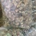 泌阳花菇甲天下，味香细嫩、各种规格都有，一件走起