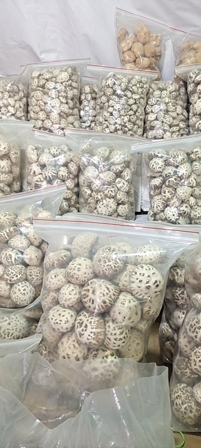泌阳花菇甲天下，味香细嫩、各种规格都有，一件走起