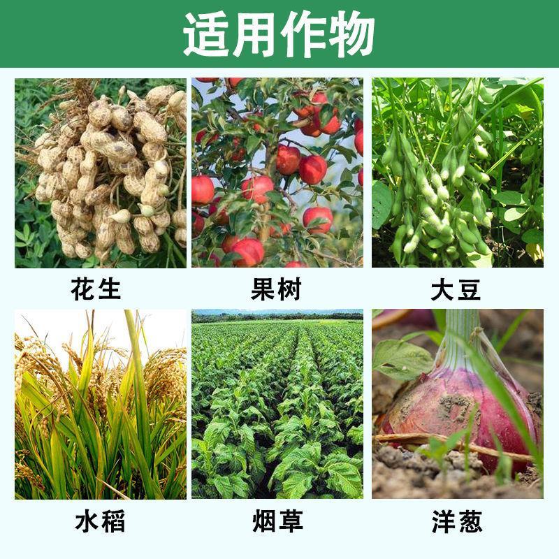 氯溴异氰尿酸50%白菜草莓软腐病根腐病病毒病叶枯病杀菌剂