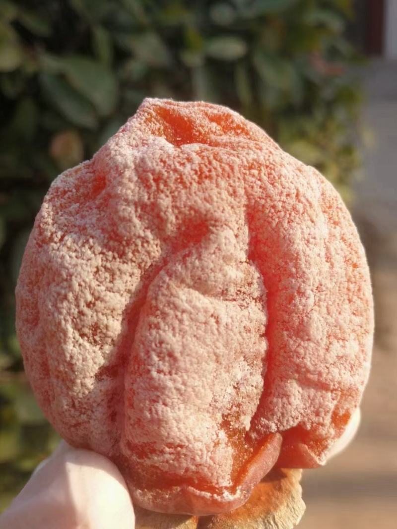 正宗富平柿饼，假一赔十