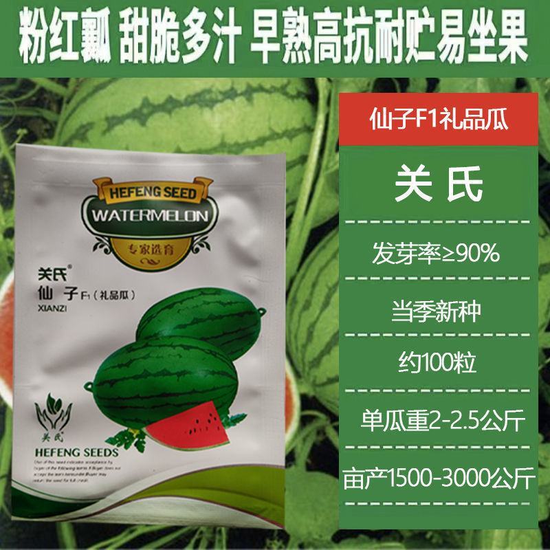 西瓜种子，西瓜种子关是仙子，西瓜种子，西瓜种子，西瓜种子