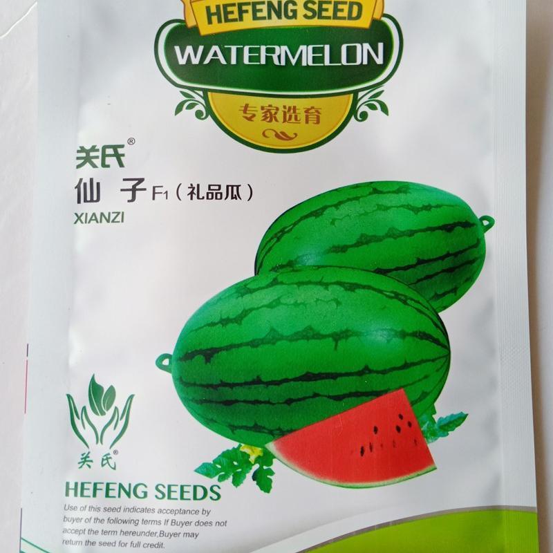 西瓜种子，西瓜种子关是仙子，西瓜种子，西瓜种子，西瓜种子