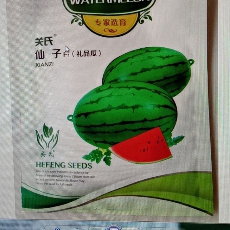 西瓜种子，西瓜种子关是仙子，西瓜种子，西瓜种子，西瓜种子