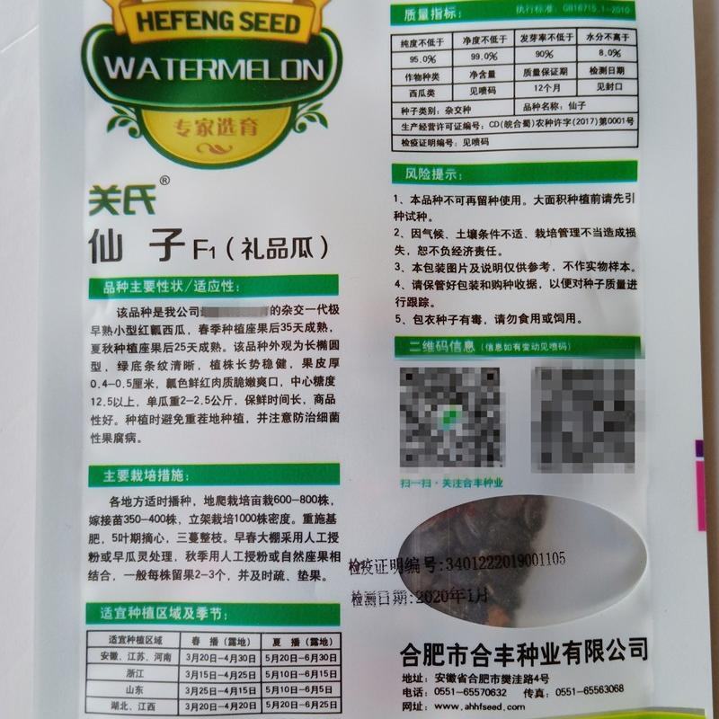 西瓜种子，西瓜种子关是仙子，西瓜种子，西瓜种子，西瓜种子