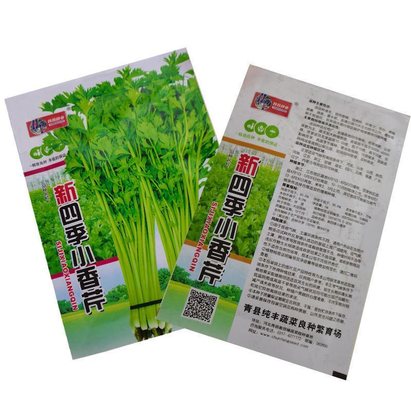 芹菜种子，四季香芹种子，芹菜种子，四季小香芹种子芹菜种子