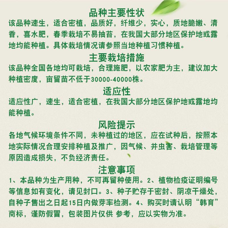 芹菜种子，四季香芹种子，芹菜种子，四季小香芹种子芹菜种子
