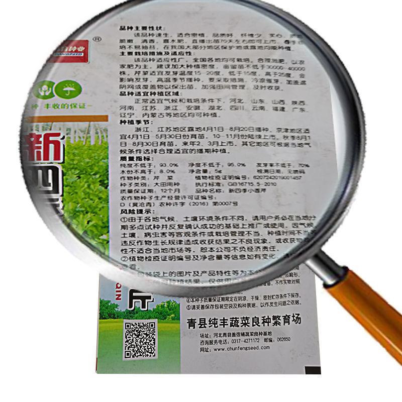 芹菜种子，四季香芹种子，芹菜种子，四季小香芹种子芹菜种子