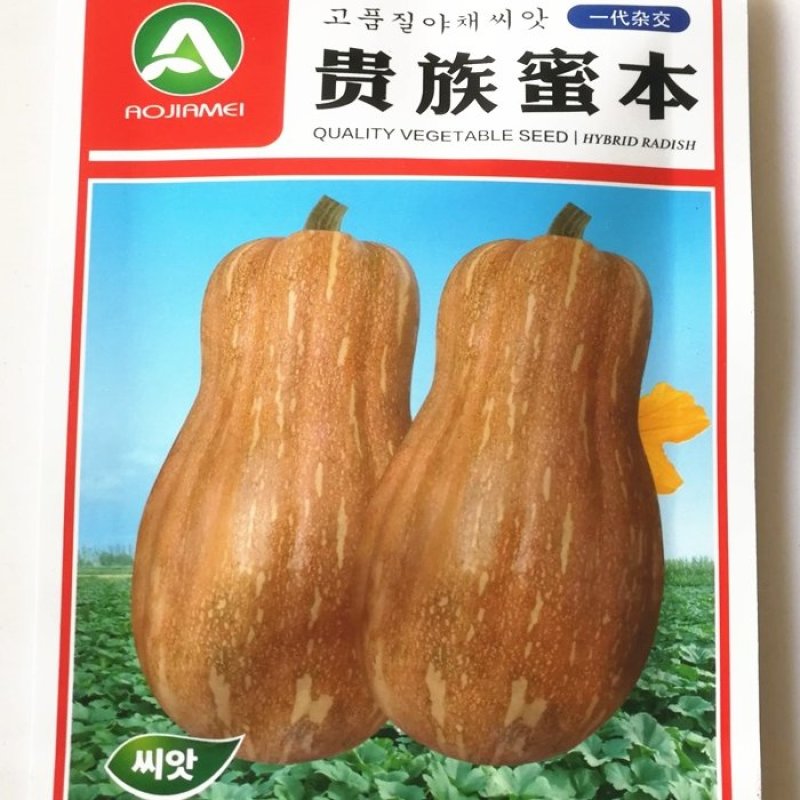 蜜本南瓜种子，蜜本南瓜种子，南瓜种子，南瓜种子