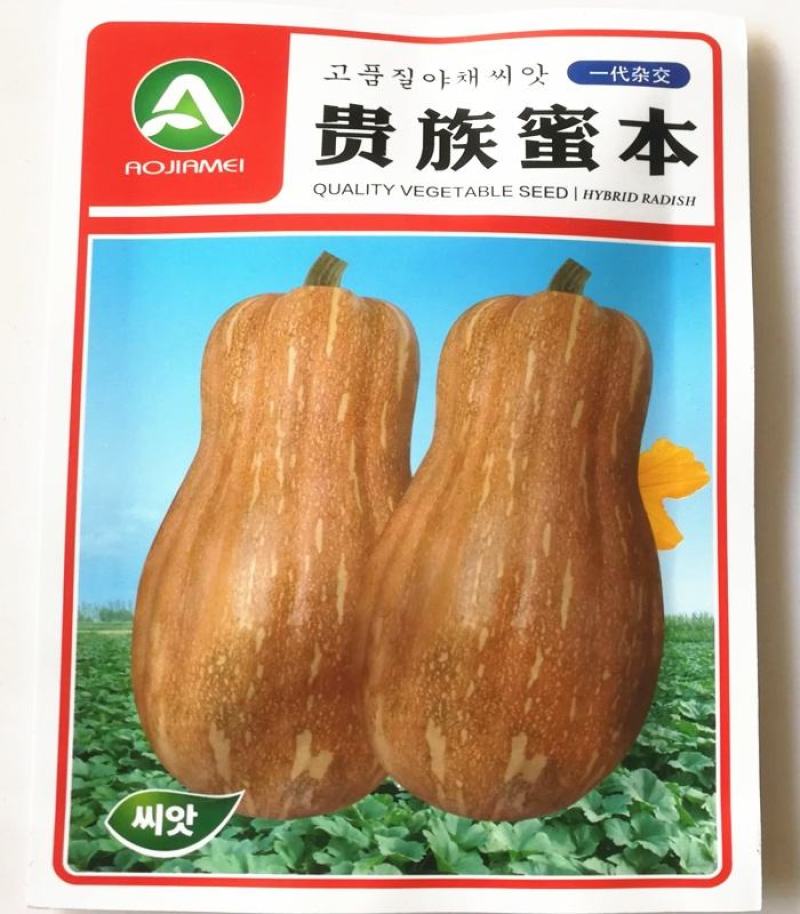 蜜本南瓜种子，蜜本南瓜种子，南瓜种子，南瓜种子