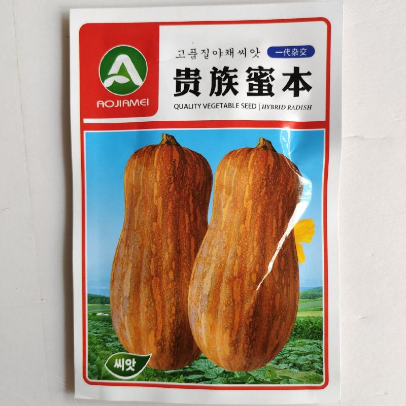 蜜本南瓜种子，蜜本南瓜种子，南瓜种子，南瓜种子