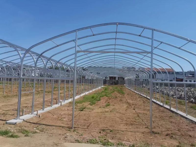 专业生产各种规格养殖大棚种植大棚全国发货包建