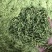 河北特级金银花金银花无硫中药材金银花河北特级金银花金银花