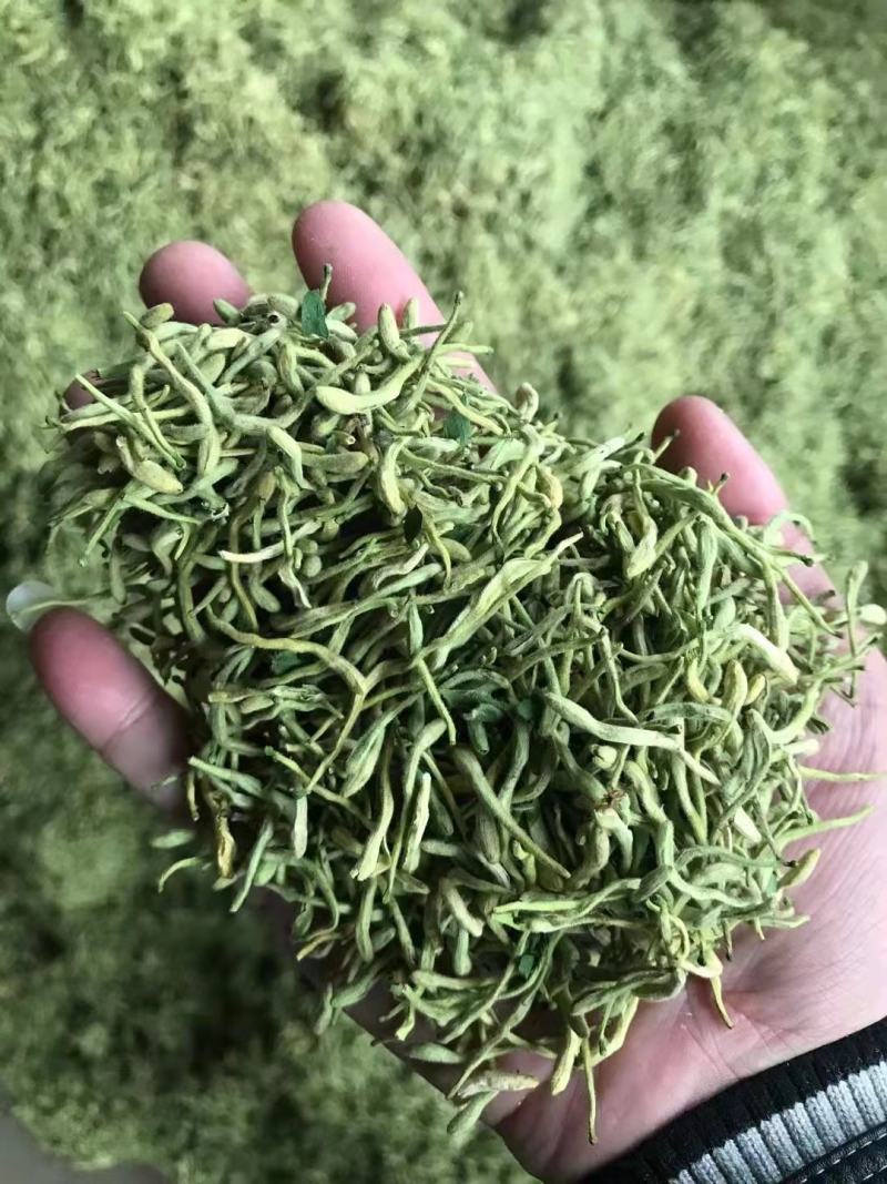 河北特级金银花金银花无硫中药材金银花河北特级金银花金银花