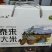 东北优质大米