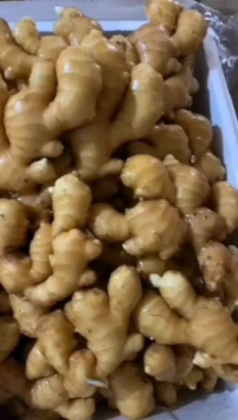 北京优质生姜产地直供品种齐全生姜小黄姜