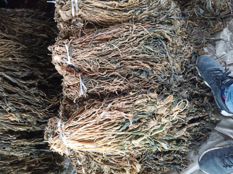 【梅干菜】精品梅干菜大量有货质量保证欢迎采购