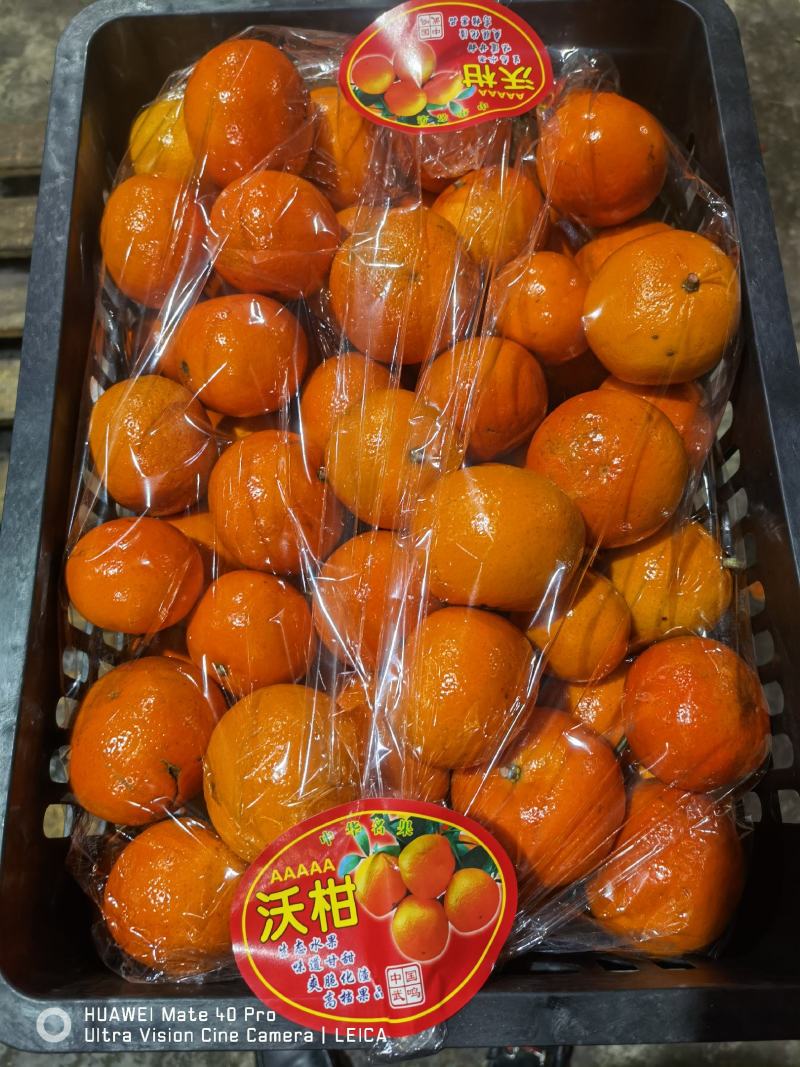 广西沃柑精品沃柑，产地直发，新鲜采摘，口感好，诚信经营
