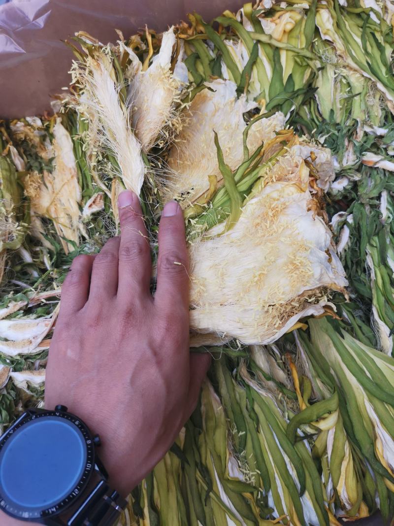 霸王花《优质》【颜色靓】产地直销，一件代发