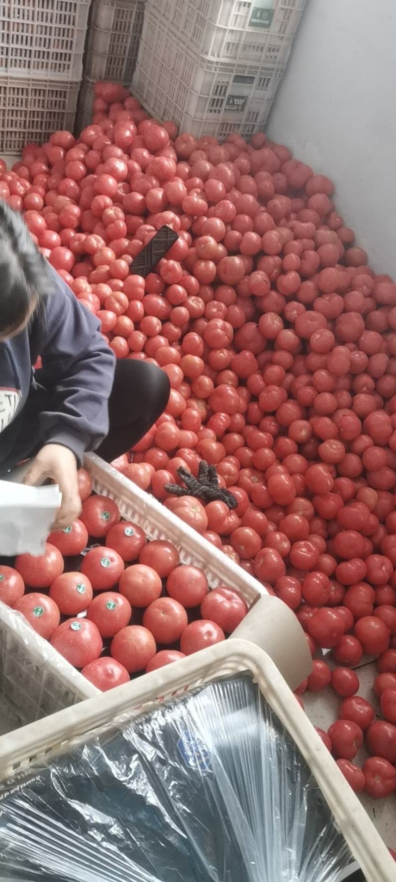 大量上市