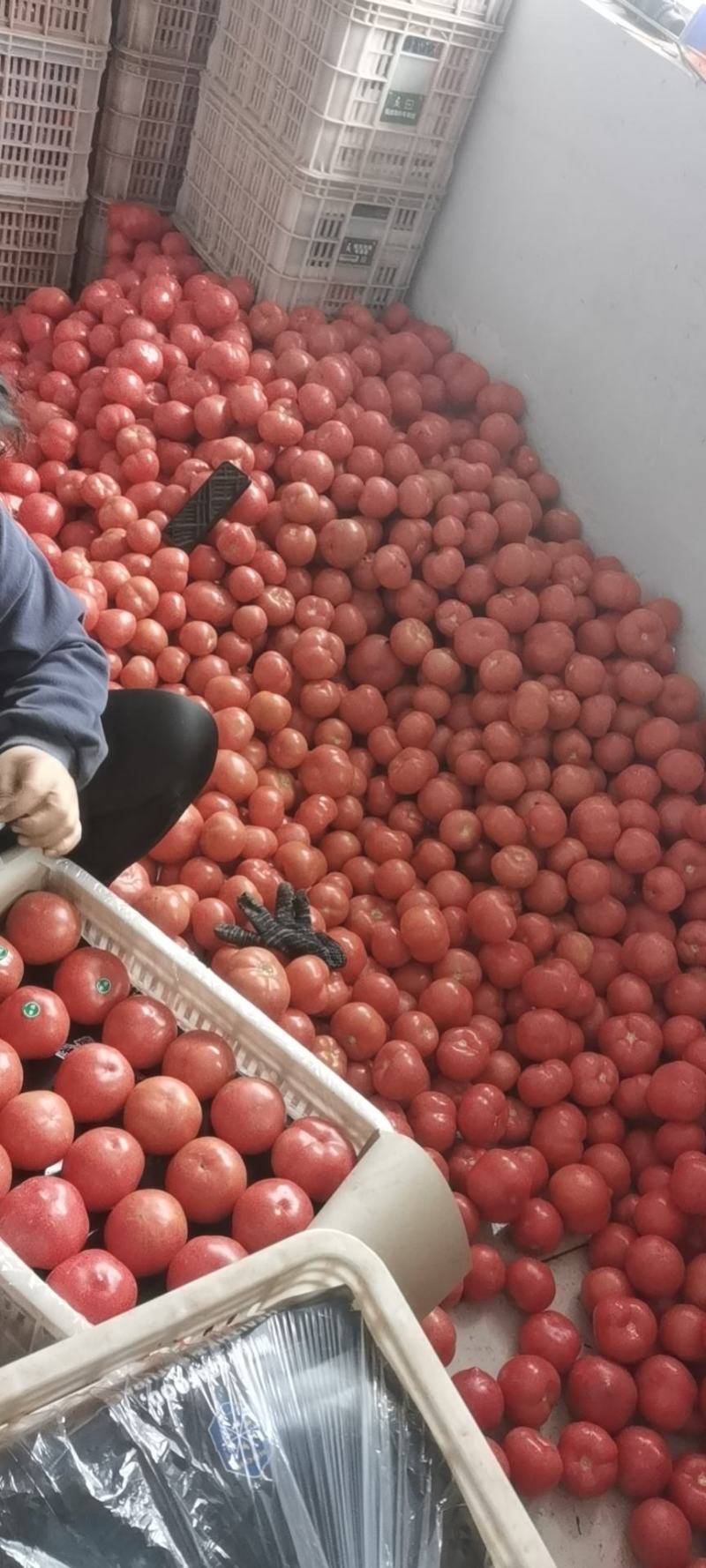 大量上市