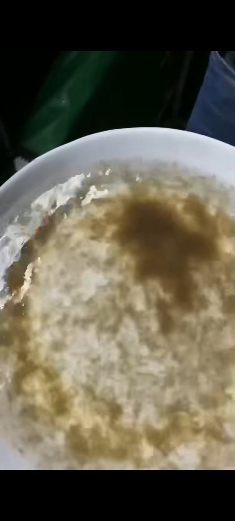 饵料鱼水花（土鲮水花白莲水花，麦鲮水花）苗场直销全国发货