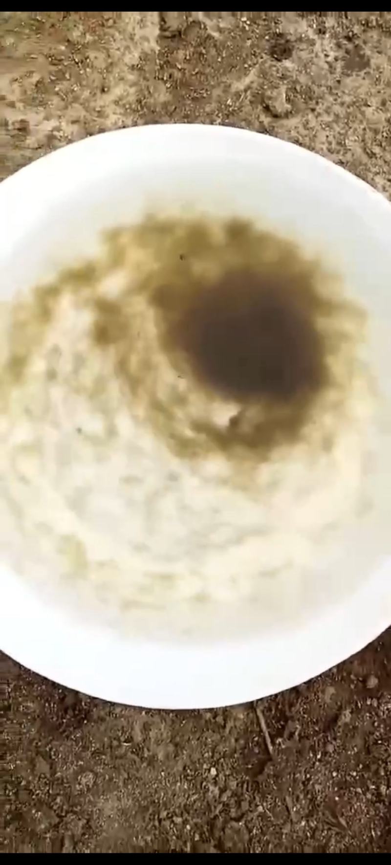 饵料鱼水花（土鲮水花白莲水花，麦鲮水花）苗场直销全国发货