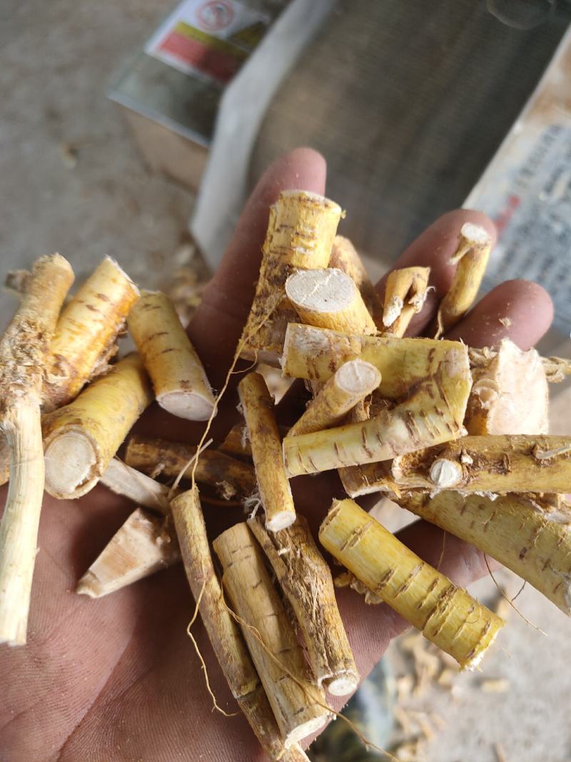 长期加工五指毛桃干货新鲜货档口货地摊货工厂货一体化机柜
