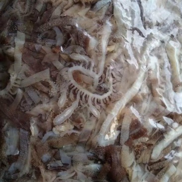 碎千层肚，自助餐火锅
