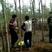 甘肃兰州柳树一手货源产地直供可视频看货