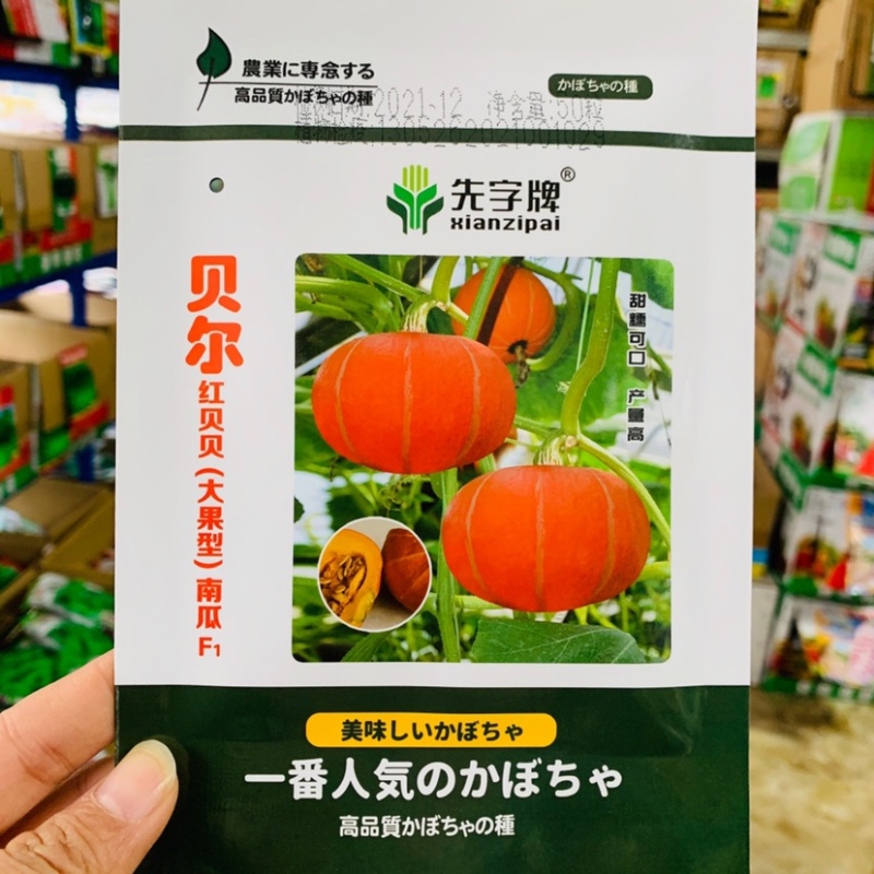 贝尔红贝贝大果型南瓜种子红皮贝贝南瓜种子果粉度高糯甜