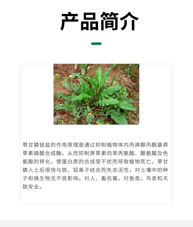 侨昌拼达30%草甘膦铵盐灭生除草剂果园苗圃牛筋草杂草烂根