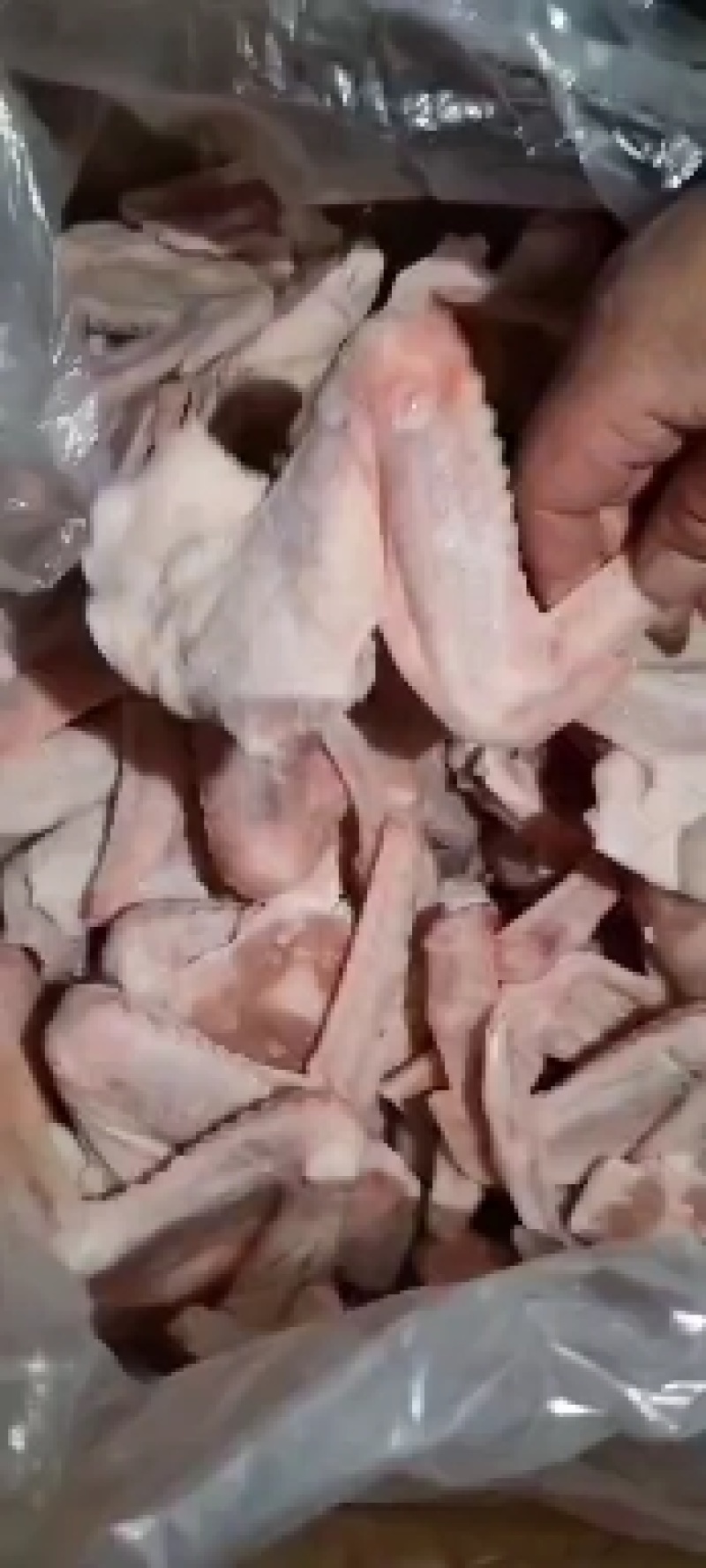 郑州莱聚商贸有限公司，生鲜冷冻去骨鸭掌，欢迎质询订购。