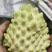 种苗水果苗释迦嫁接树苗阳台庭院均可种植包邮价