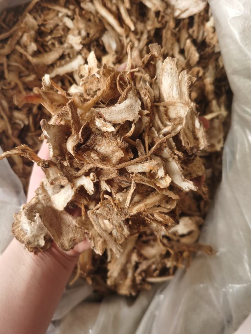 当归片统装500g产地甘肃振兴药材购销站量大从优