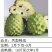 种苗水果苗释迦嫁接树苗阳台庭院均可种植包邮价