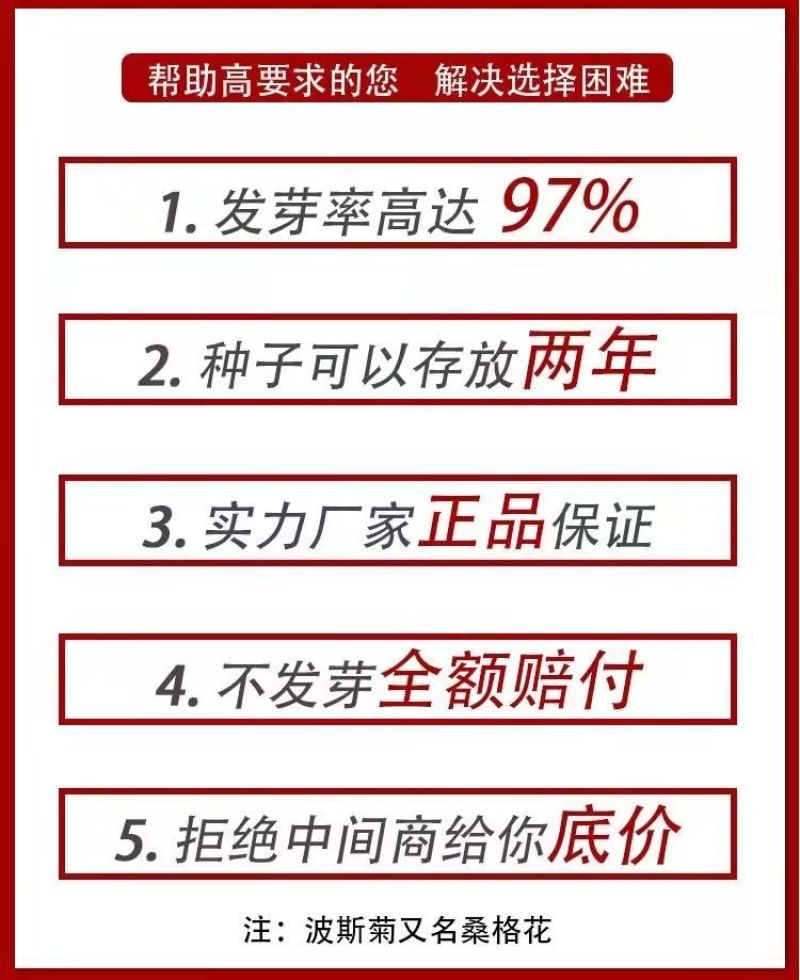 野花组合种子，花海庭院绿化四季开花，花卉种子批发，花种子