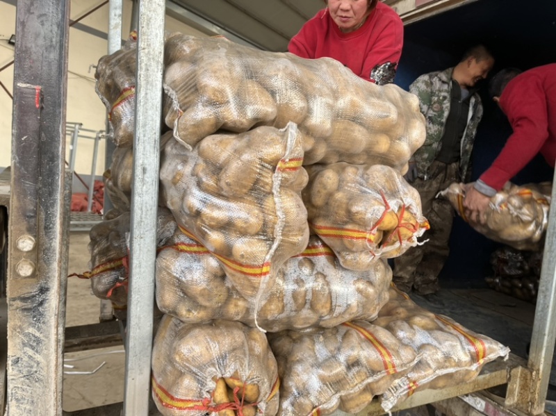 精品v7土豆，可以加工反包