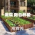 通用营养土批发养花专用土绿萝多肉种植土家用有机土泥炭花土