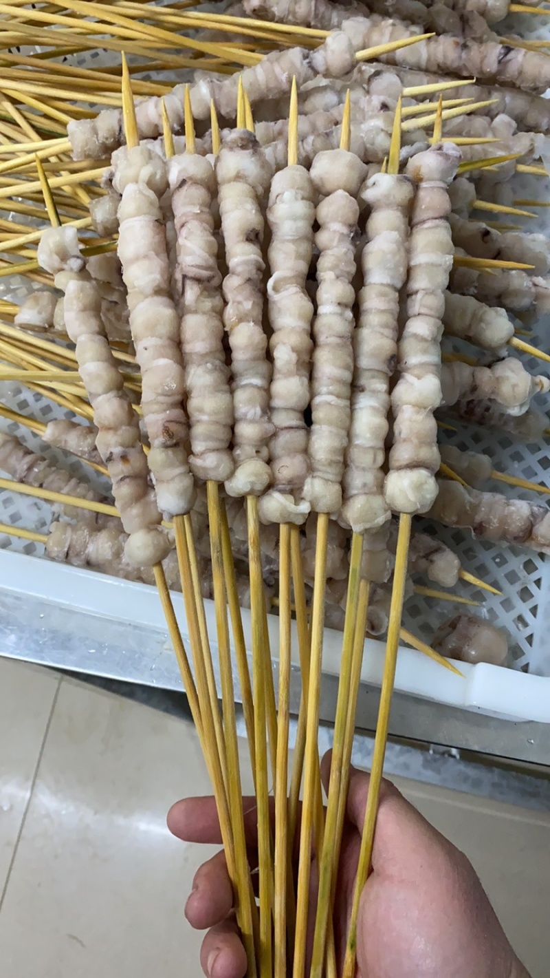 鱿鱼嘴串口球串