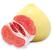 红肉（三红）蜜柚嫁接苗量多价优批发福建漳州