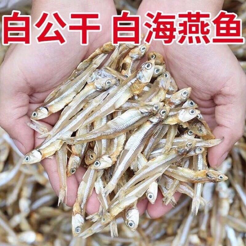 公干鱼海燕鱼新货白帆鱼干现晒小鱼仔干批发海鱼干咸鱼海鲜包