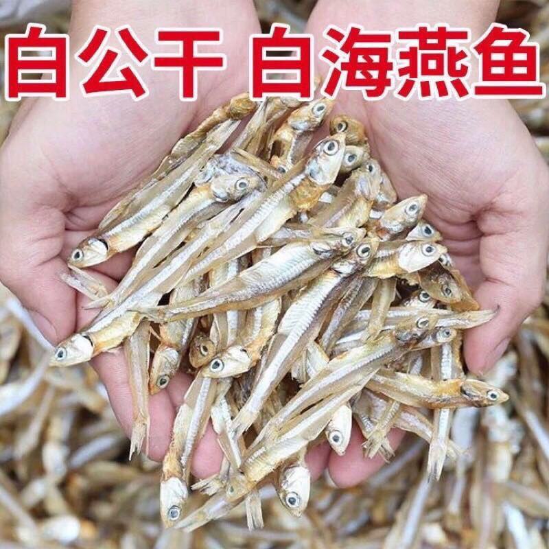 公干鱼海燕鱼新货白帆鱼干现晒小鱼仔干批发海鱼干咸鱼海鲜包
