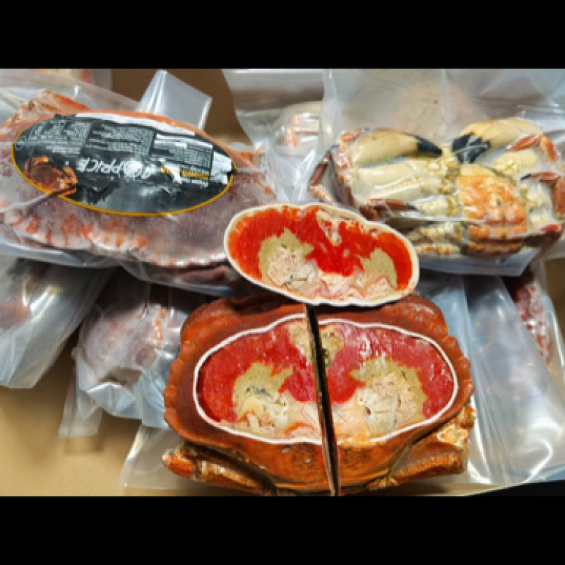 洛克面包蟹