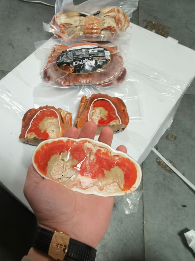 洛克面包蟹